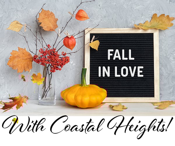 CSHT - Slider_Fall In Love_Oct2025_1200 x 1000